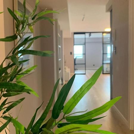 Espectacular Loft Lleno De Luz Y Espacio! 사라고사 외부 사진