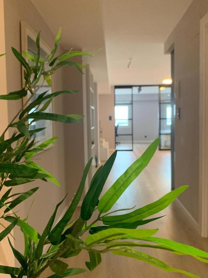Espectacular Loft Lleno De Luz Y Espacio! 사라고사 외부 사진